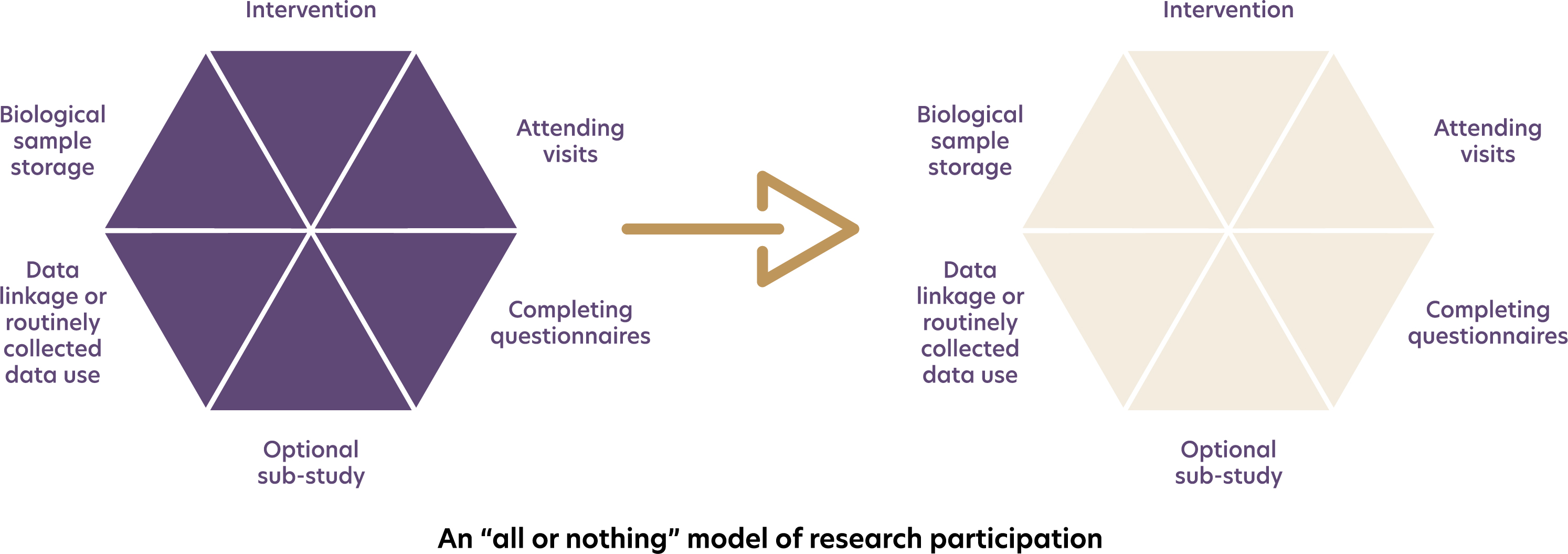 An all-or-nothing model of research participation: a participant either takes part in all aspects of a study (for instance, intervention; attending visits; completing questionnaires; an optional sub-study; data linkage or routinely collected data use; biological sample storage) or they do not take part in any of these and are no longer involved at all.